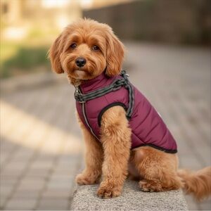 WINTER DOG COAT WITH ATTACHED HARNESS IN PURPLE